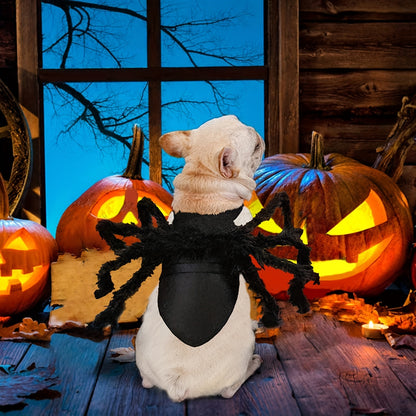 Furry Giant Spider Pet Costume - Adjustable Cosplay Outfit for Small Pets